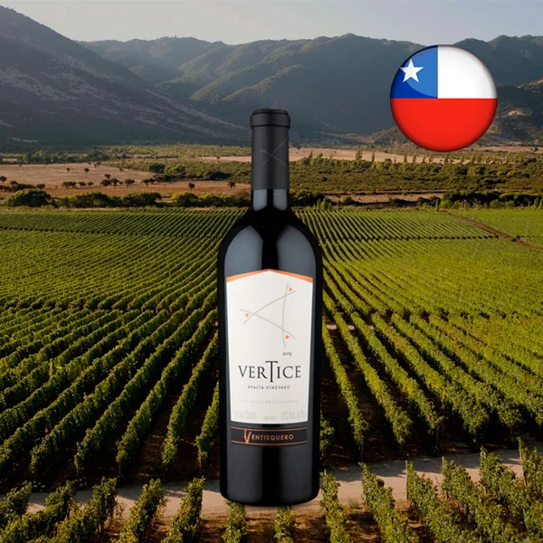 Ventisquero Vertice Valle de Colchagua Carménère Syrah 2019 - Oferta