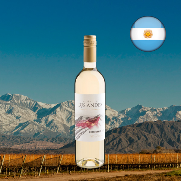 Vinã de Los Andes Chardonnay 2022 - Oferta