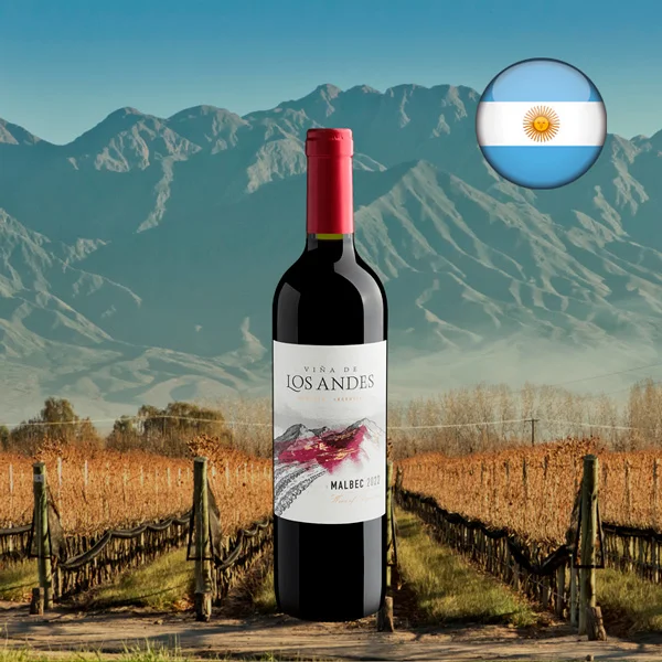 Viña de Los Andes Malbec 2022 - Oferta