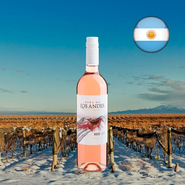 Viña de Los Andes Rosé 2022 - Oferta