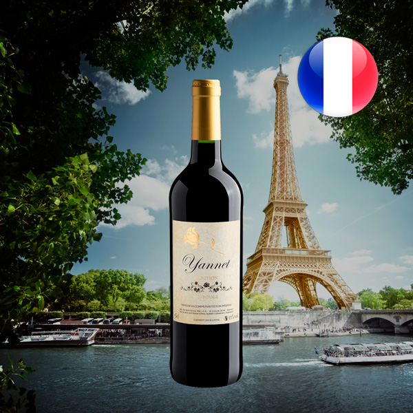 Yannet Selection Vin Rouge 2020 - Oferta