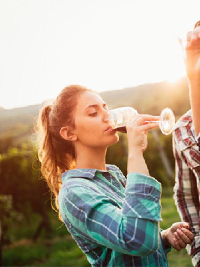 Top 10 Vinhos Tintos Bons e Baratos para Saborear Sem Gastar uma Fortuna