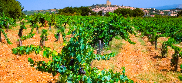 Domaine de L'Arnesque Rouge Côtes Du Rhône AOP 2018 - Terroir