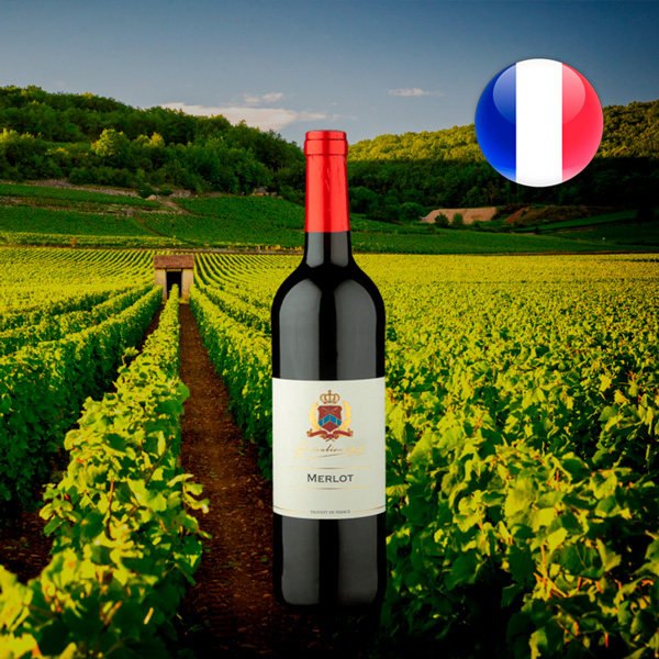 Interconnect Simuler Er velkendte Generation 1905 Vin de France Merlot 2020 - Vinho tinto francês | Center  Gourmet Vinhos e acompanhamentos