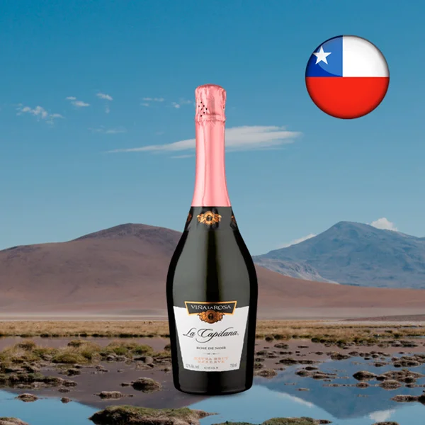 La Capitana Reserve DO Valle de Cachapoal Rose de Noir 2021 - Oferta