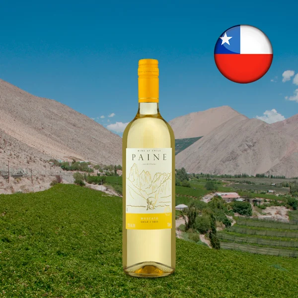 Paine Moscato 2022 - Oferta