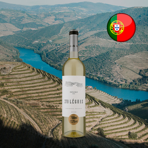 370 Léguas DOC Douro Branco 2020 - Oferta