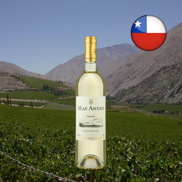 Baron Philippe de Rothschild Mas Andes Sauvignon Blanc 2022 - Oferta