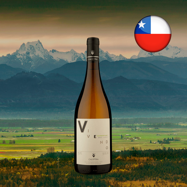 Calyptra Vivendo Reserve Sauvignon Blanc 2021 - Oferta