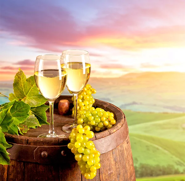 Concha Y Toro Amélia Chardonnay 2018 - Barricas