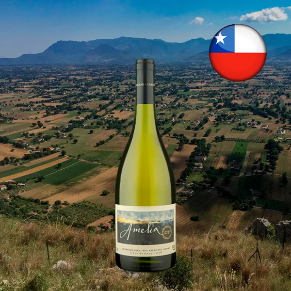 Concha Y Toro Amélia Chardonnay 2018 - Oferta