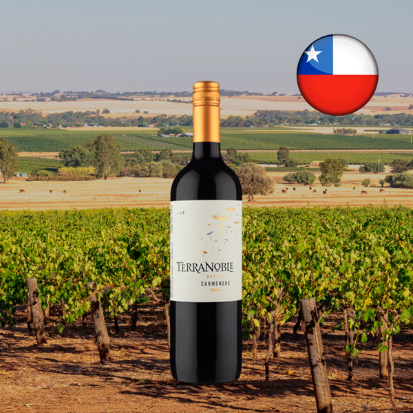 Terranoble Estate Carménère 2018 - Oferta