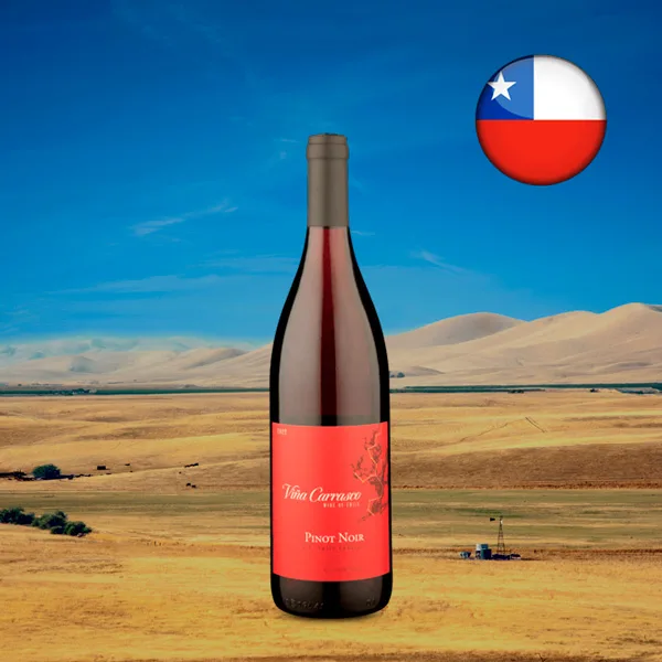 Viña Carrasco DO Valle Central Pinot Noir 2022 - Oferta