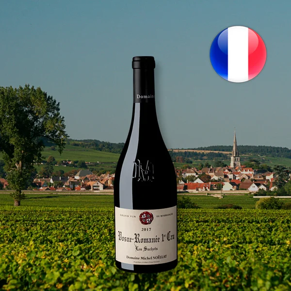 Vosne Romanée 1er Cru Les Suchots 2017 - Oferta