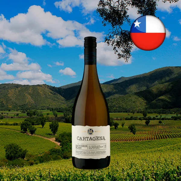 Cartagena DO San Antonio Valley Sauvignon Blanc 2019 - Oferta