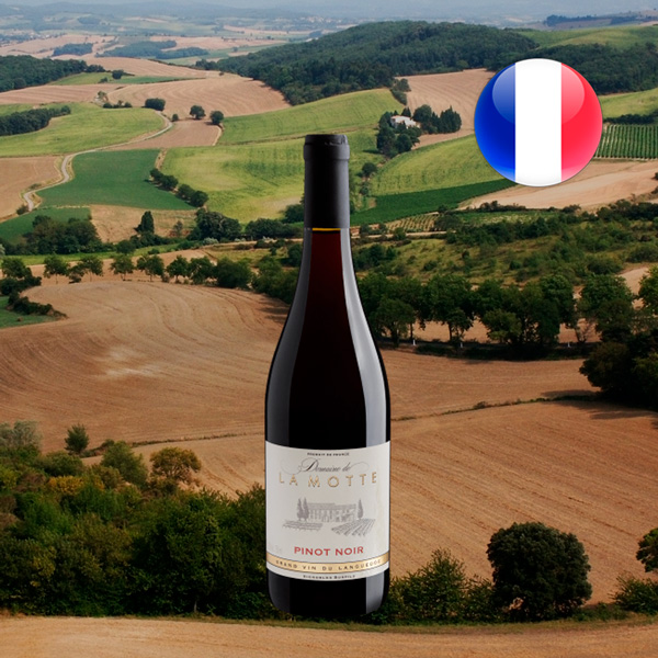 Domaine de La Motte Pinot Noir Pays d'Oc IGP 2021 - Oferta