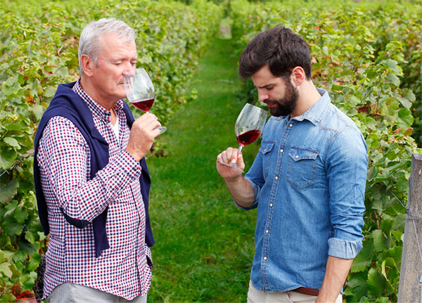 Les Silex de Cabrières Châteauneuf-du-Pape AOP 2019 - Degustando