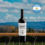 Baudron Malbec 2022 - Oferta