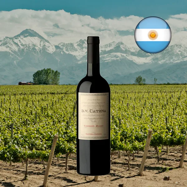 DV Catena Cabernet Malbec 2020 - Oferta