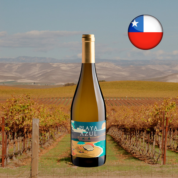 Playa Azul Winemaker Selection Sauvignon Blanc Central Valley DO 2022 - Oferta
