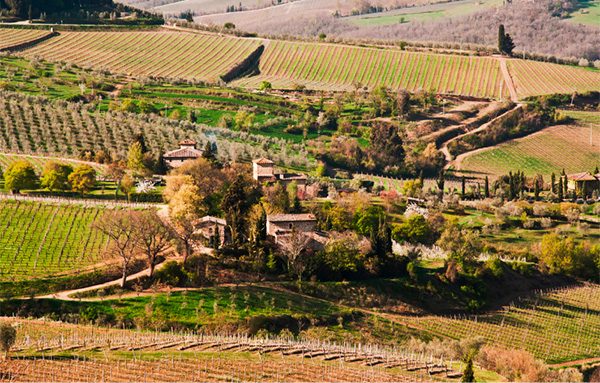 San Crispino in Fonteroma Chianti DOCG 2020 - Terroir