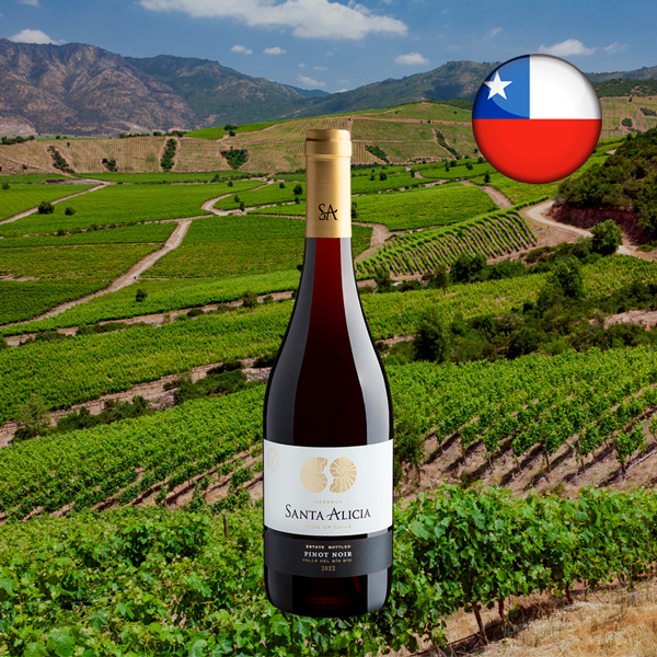 Santa Alicia Reserva Pinot Noir Valle del Bío Bío 2022 - Oferta