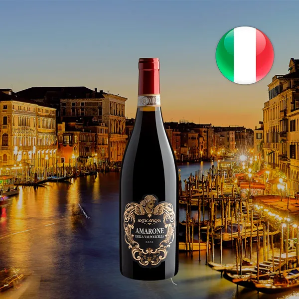 Antica Vigna Amarone della Valpolicella DOCG 2019 - Oferta