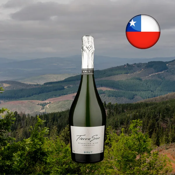 Espumante Tierra Sur Limited Edition DO Bío Bío Valley Brut - Oferta