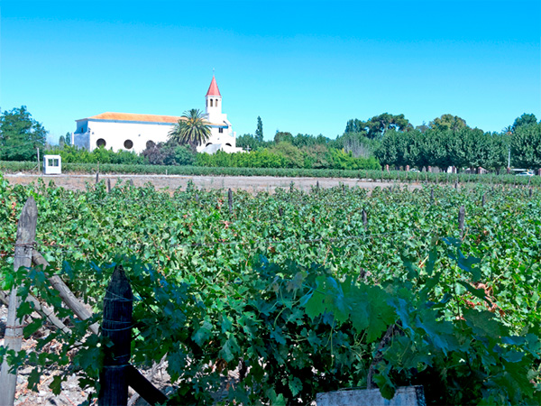 Las Mercedes Singular Carménère 2019 - Terroir