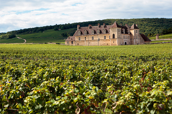 Maison Louis Girard Coteaux Bourguignons AOC 2018 - Terroir