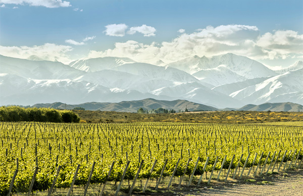 Reservado Malbec - Terroir