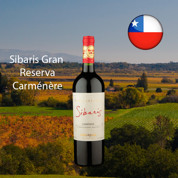 Sibaris Gran Reserva DO Valle de Colchagua Carménère 2020 - Oferta