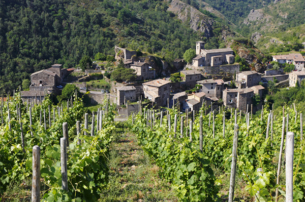 Colnem Costières de Nîmes AOC 2017 - Terroir