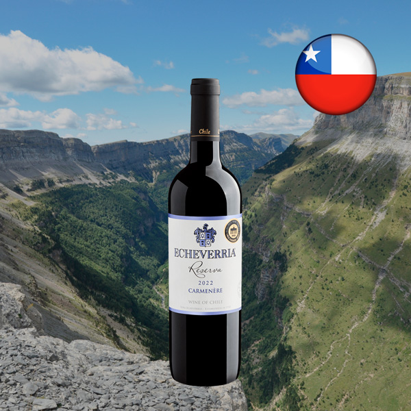 Echeverria Reserva Carménère 2022 - Oferta