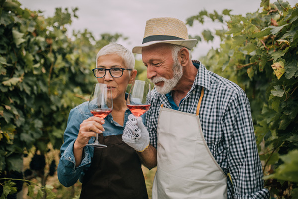 No es Pituko País Rosé 2022 - Aromas