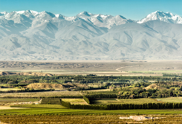 Punta Negra Blend de Malbec 2022 - Terroir