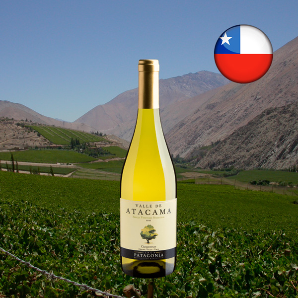 Valle de Atacama Single Vineyard Chardonnay 2021 - Oferta