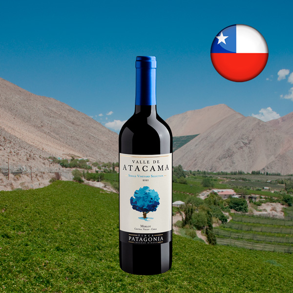 Valle de Atacama Single Vineyard Merlot Valle Central DO 2021 - Oferta
