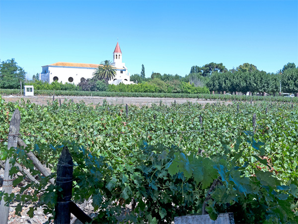 Valle de Atacama Single Vineyard Merlot Valle Central DO 2021 - Terroir