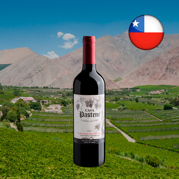 Casa Pastene Cabernet Sauvignon Central Valley DO 2022 - Oferta