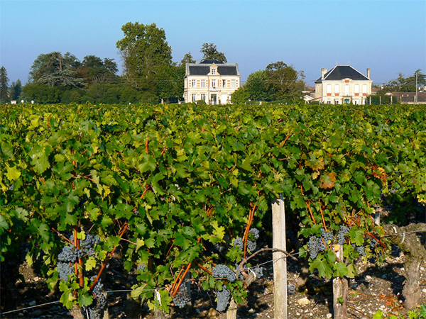 Depuis 1935 Malbec Bordeaux AOC - Terroir