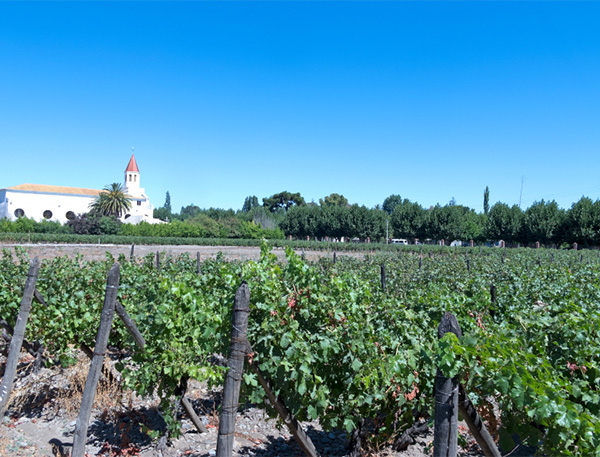 Foye Reserva Carménère - Terroir