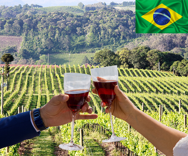 Lista dos 8 melhores vinhos do sul do Brasil