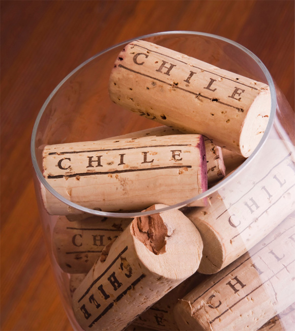 Os 7 melhores vinhos chilenos barricados e amadurecidos em aço inox
