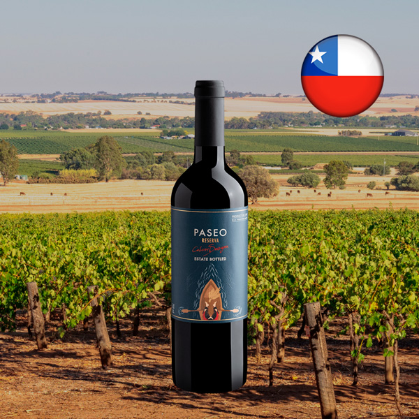 Paseo Reserva Cabernet Sauvignon Valle del Maule DO 2018 - Oferta