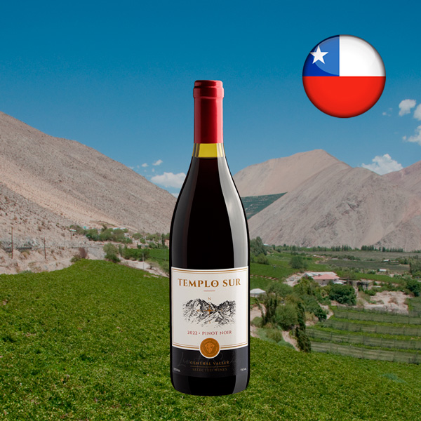 Templo Sur Limited Series Pinot Noir 2022 - Oferta