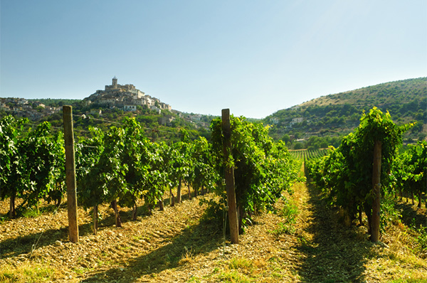 Virgolato DOC Montepulciano DAbruzzo 2021 - Terroir