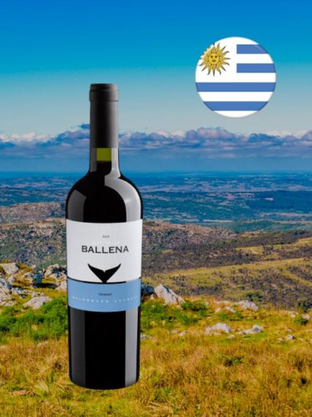 Um cobiçado e nobre Tannat uruguaio