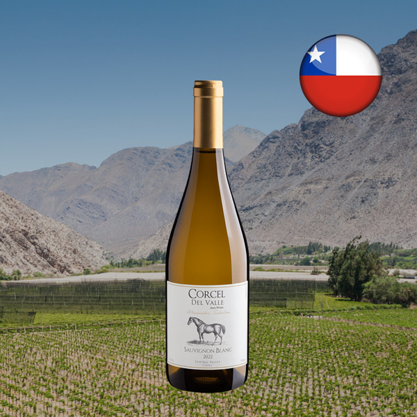 Corcel Del Valle Winemarker Selection Sauvignon Blanc Central Valley DO 2022 - Oferta