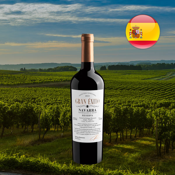 Gran Éxito Selected Vineyards Reserva Navarra DO 2013 - Oferta